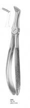  Fig. 50 upper roots 